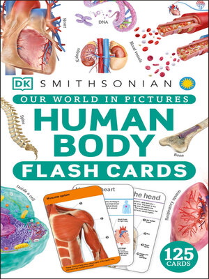 cover image of Human Body Flash Cards